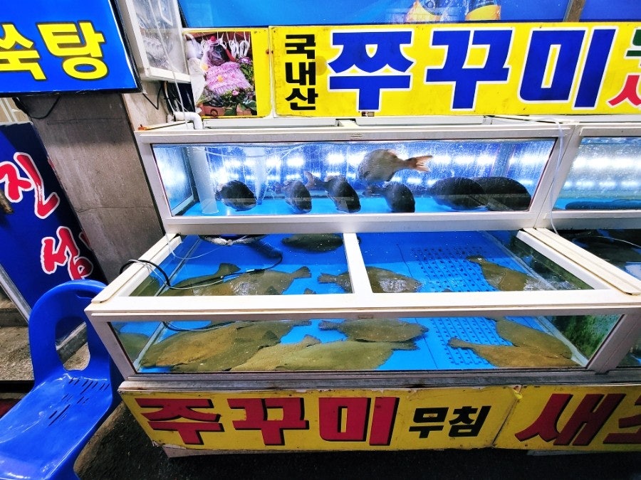 진도섬마을 사진 3