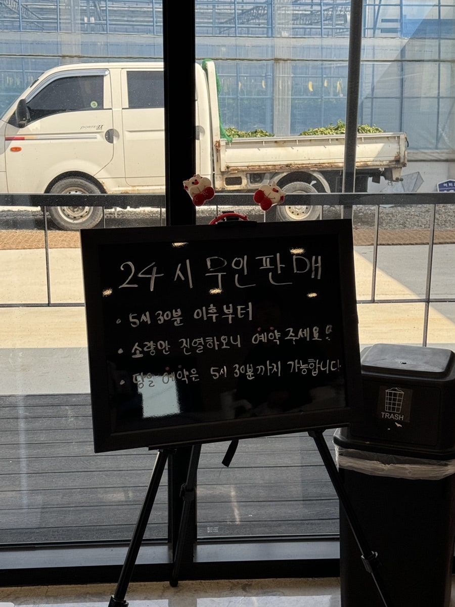 설향 사진 1