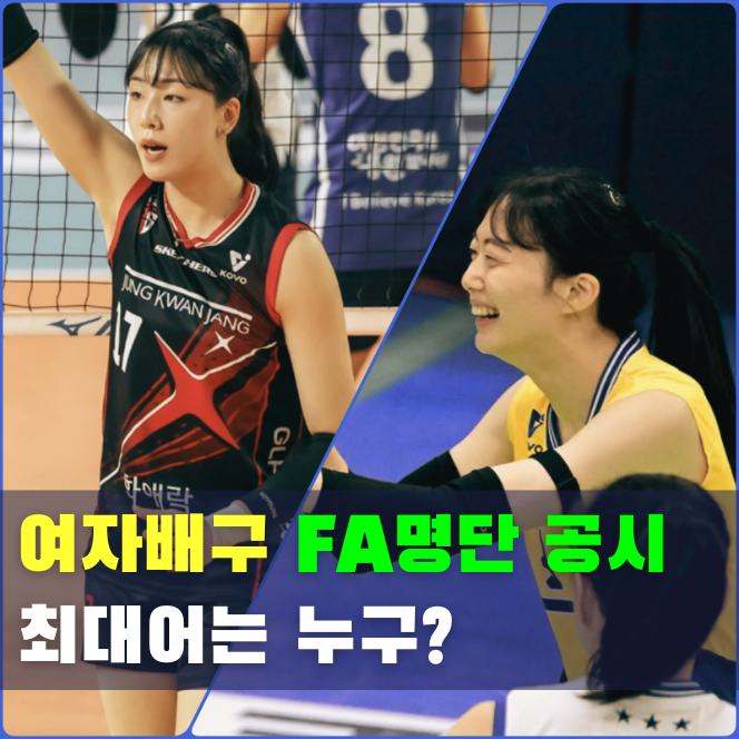  2026 여자배구 FA 선수 명단 총정리, 세터·센터 최대어는 누구?