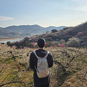 나일론 경량 백팩 가벼운 등산가방 컬럼비아 포레스트 패커블 20L 사용기 콜롬비아 columbia