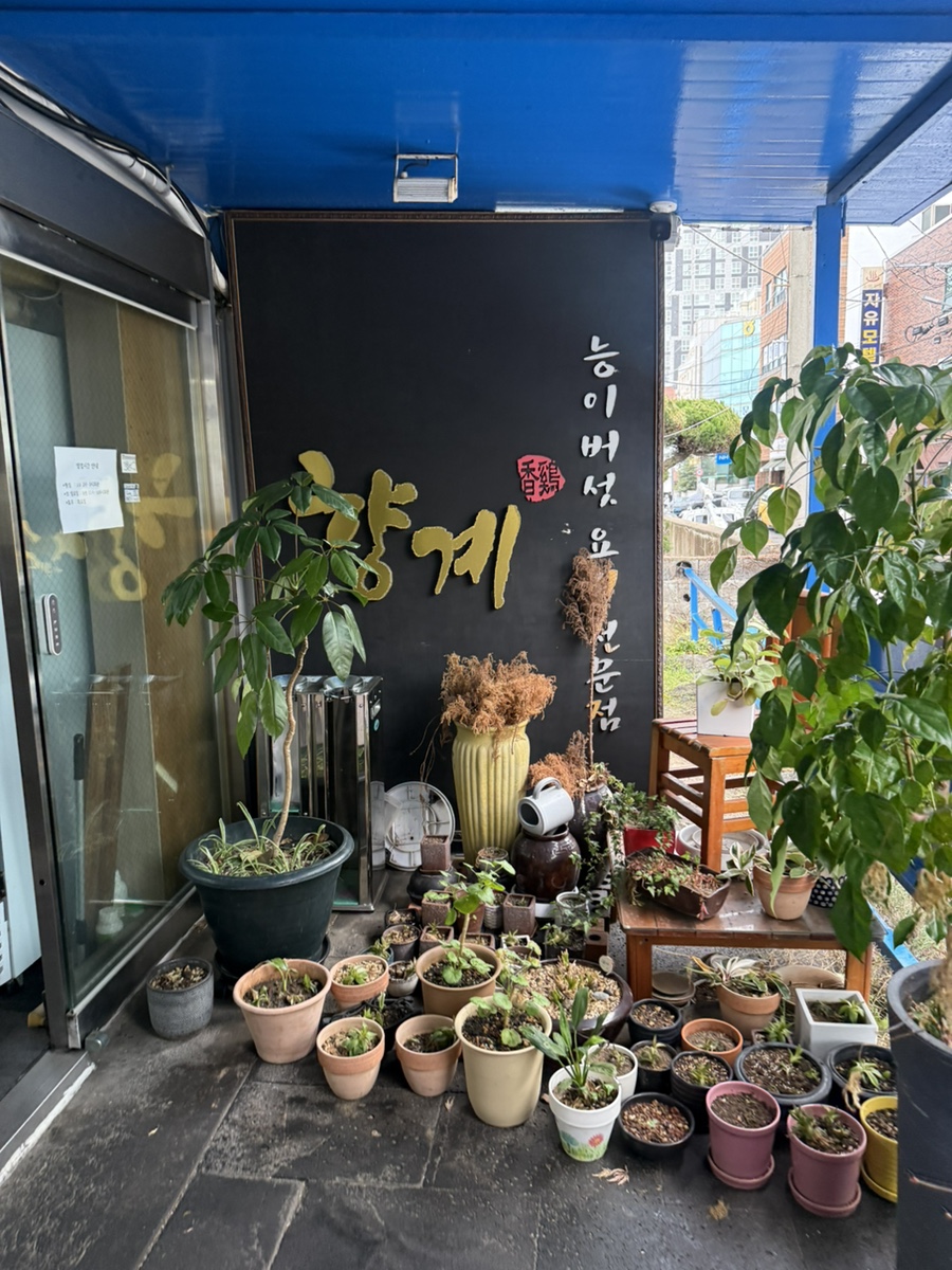 능이버섯백숙향계 사진 4