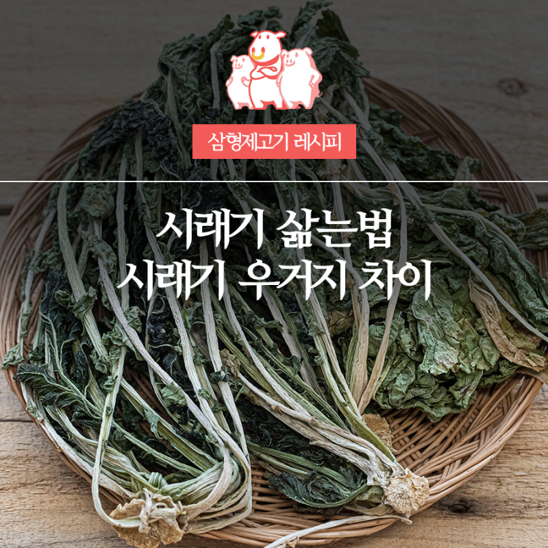 시래기 삶는법 부터 1년 내내 야들야들한 보관법까지+우거지 차이
