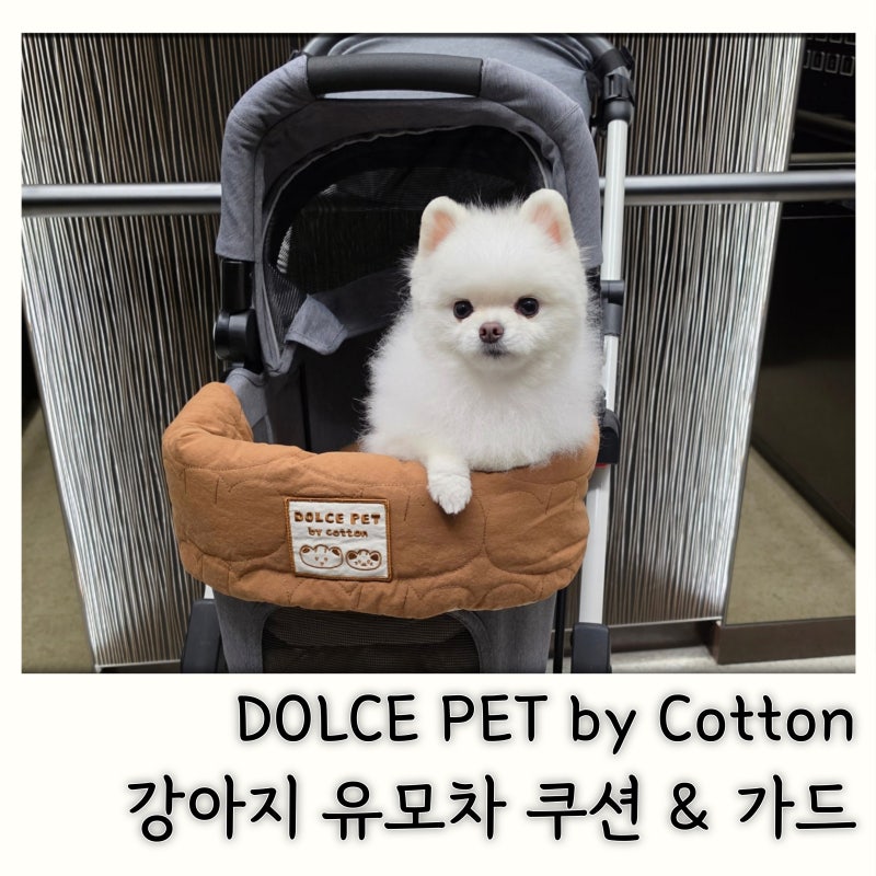 돌체펫바이코튼 벨루즈 강아지 유모차 가드 쿠션 세트 산책용품