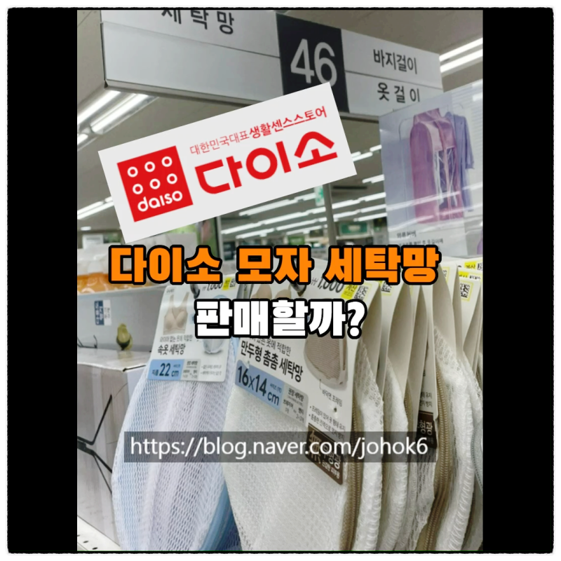 다이소 모자 세탁망 판매할까?