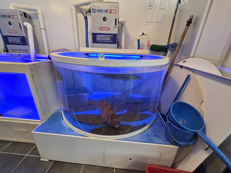 대박수산 사진 5