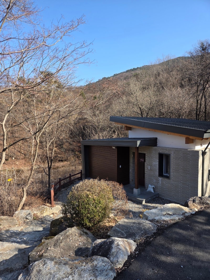 유명산자연휴양림 산토끼 3월말