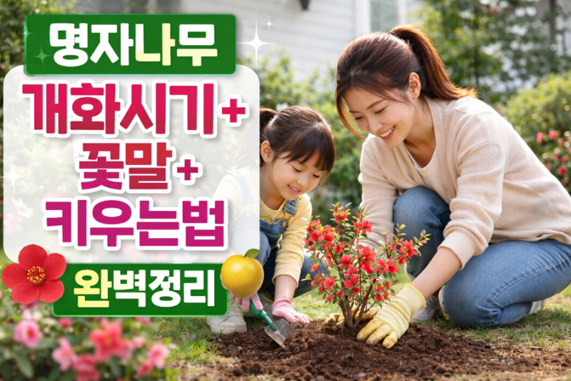 명자나무 개화시기 총정리 (명자꽃 언제 피나요? 산당화 꽃·열매까지 한눈에)