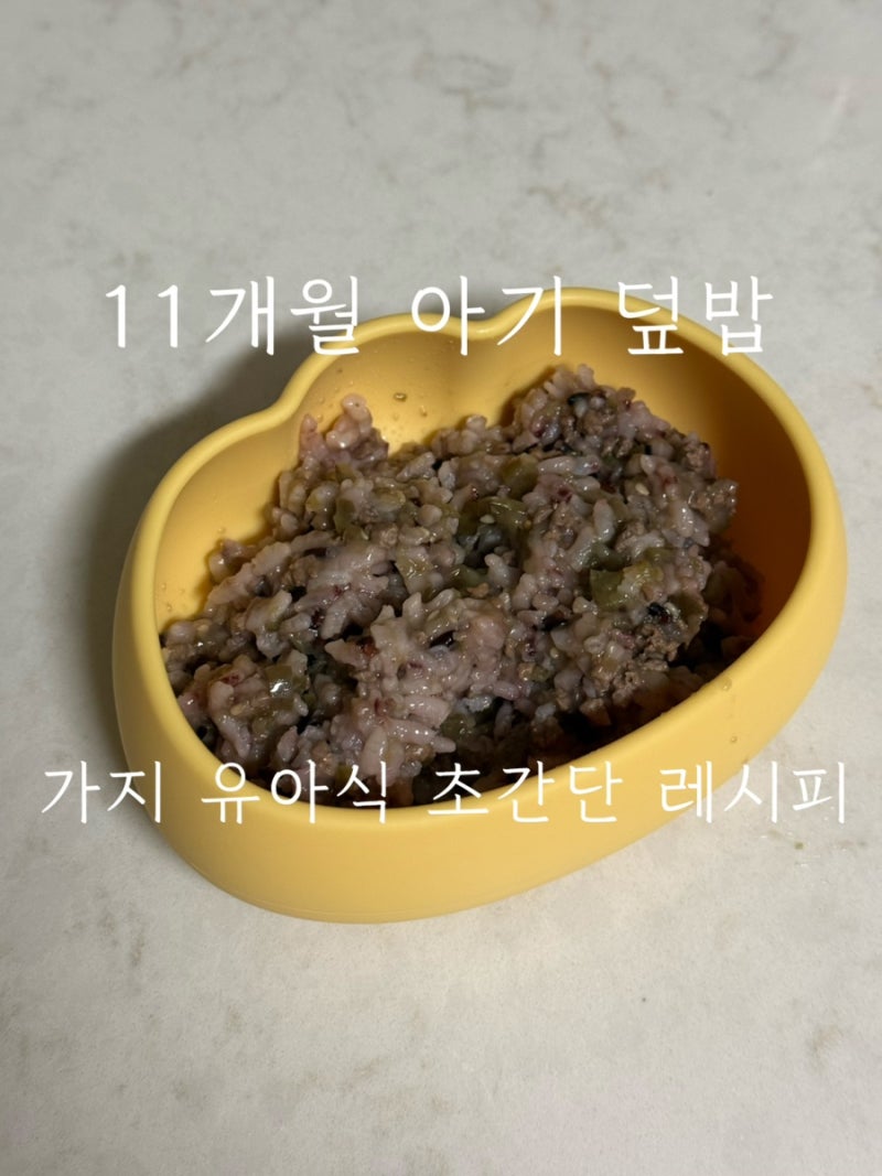 11개월 아기 유아식 가지 소고기 덮밥 레시피 (사골국물로 간단 아기반찬)