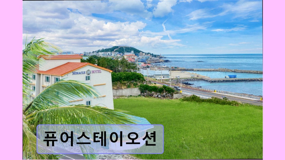 퓨어스테이오션 사진 1