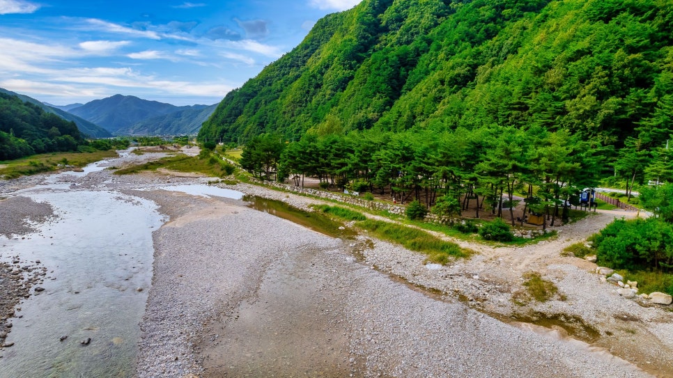 한계령솔밭야영장 사진 5