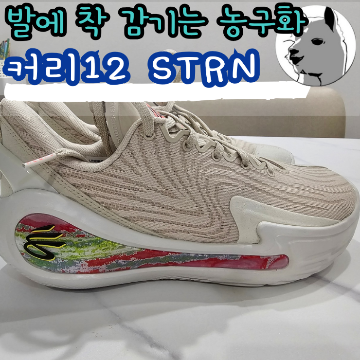 발볼 넓은 농구화 좁은 농구화 커리12STRN 조던와이낫제로0.3 비교