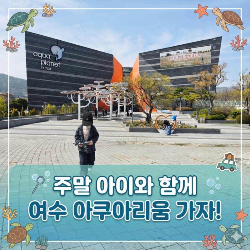 광주, 전남에서 가기 좋은 "여수 아쿠아 플라넷"