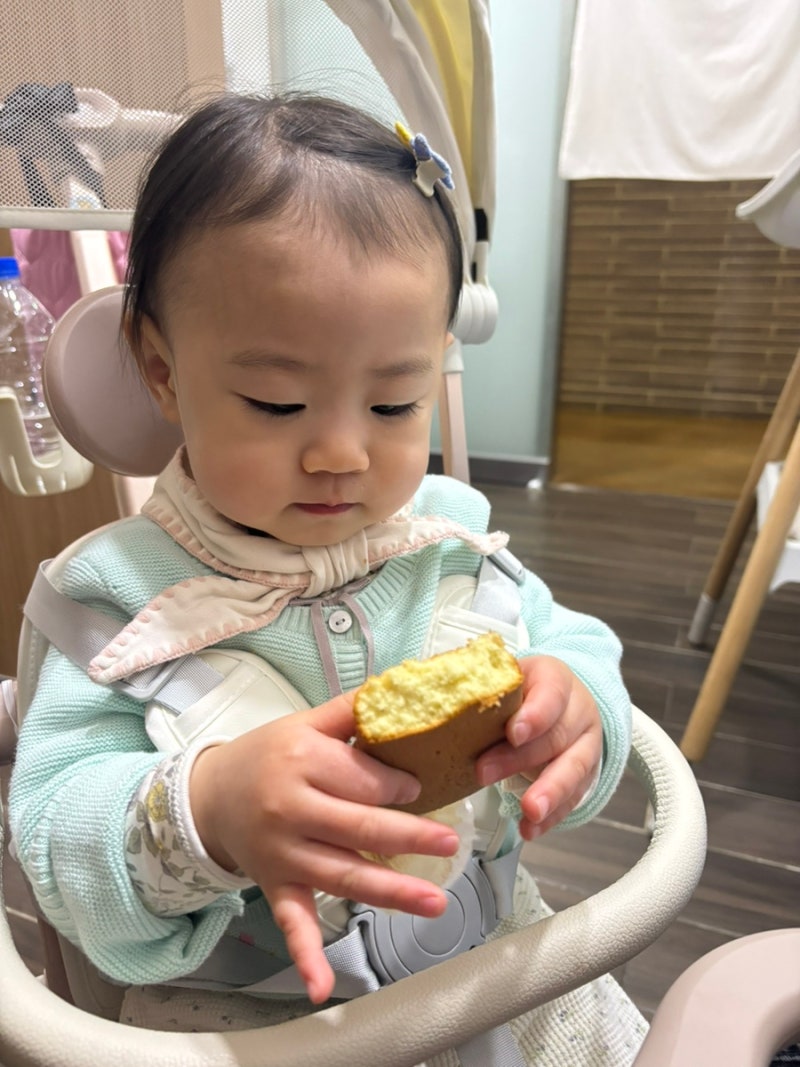 루솔 우리쌀 카스테라 , 동결건조 과일칩 후기 | 아기 간식 추천 |유아간식 아기과자