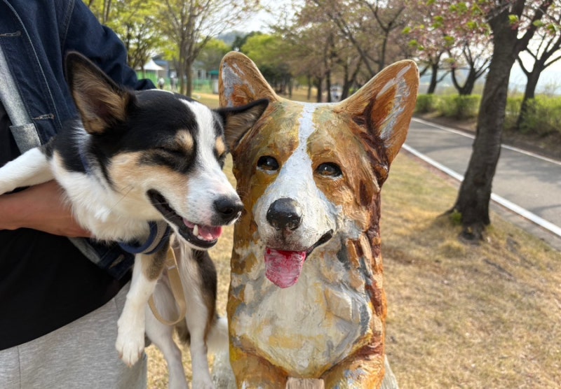 동락공원반려견놀이터