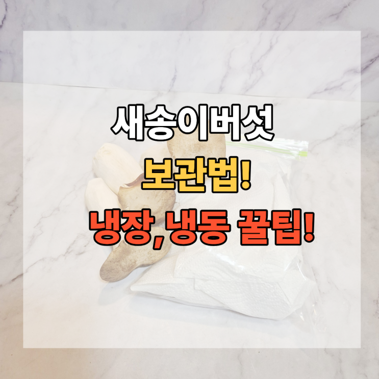  새송이버섯 보관법 이렇게 안 하면 금방 물러요 냉장 냉동 꿀팁!