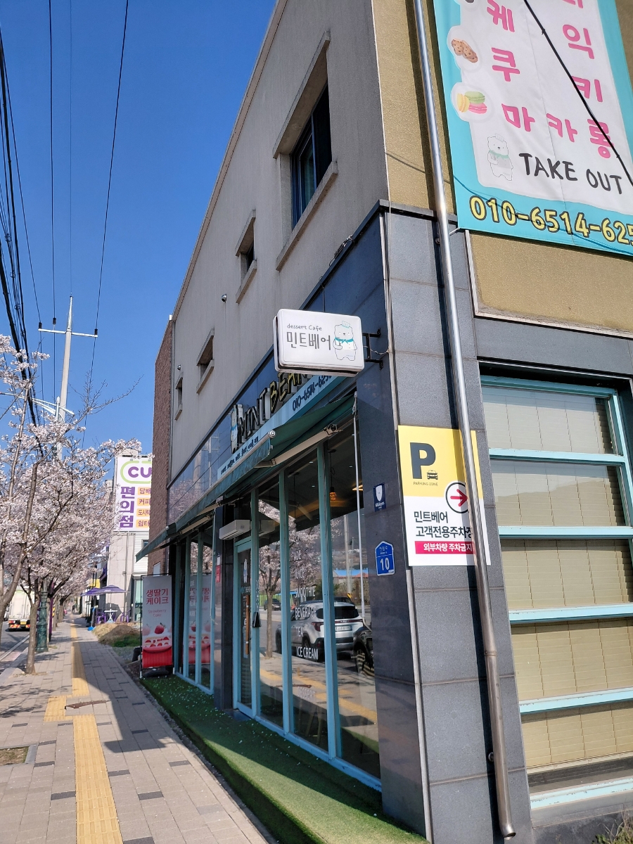 민트베어 사진 3