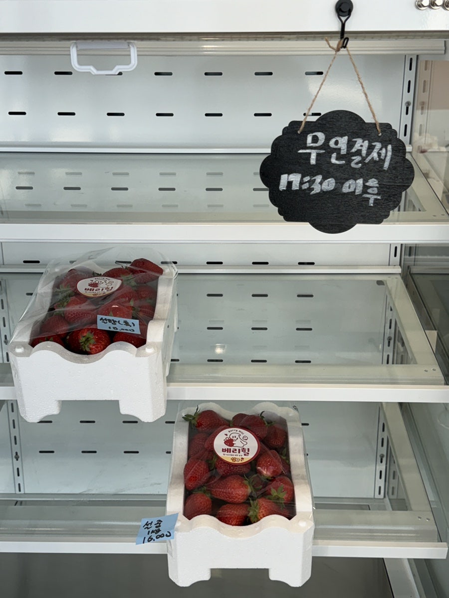 설향 사진 3