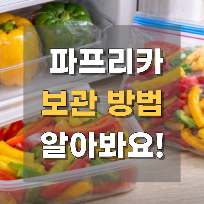 파프리카 보관법 총정리, 냉장 냉동 보관 방법과 보관 기간까지
