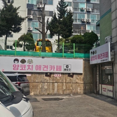 사진 3