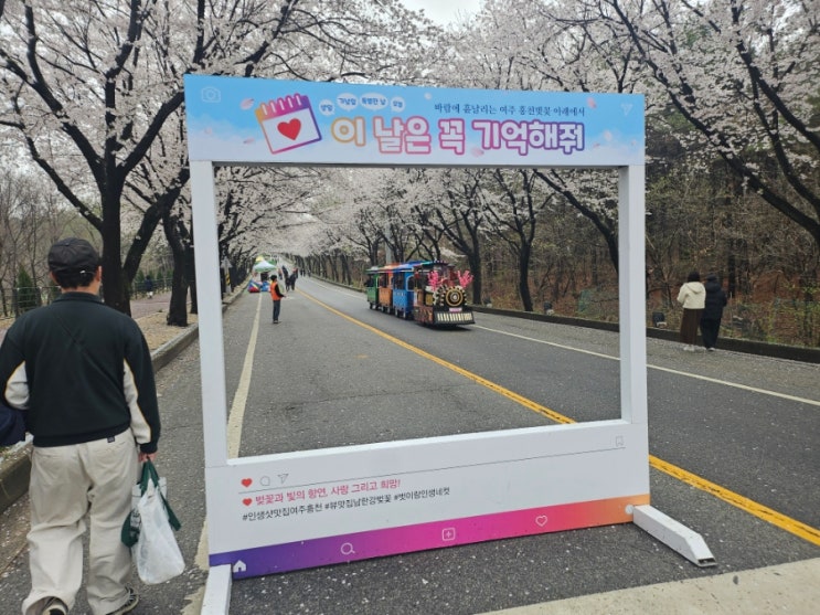  볼거리 먹거리 다양한 여주흥천남한강벚꽃축제