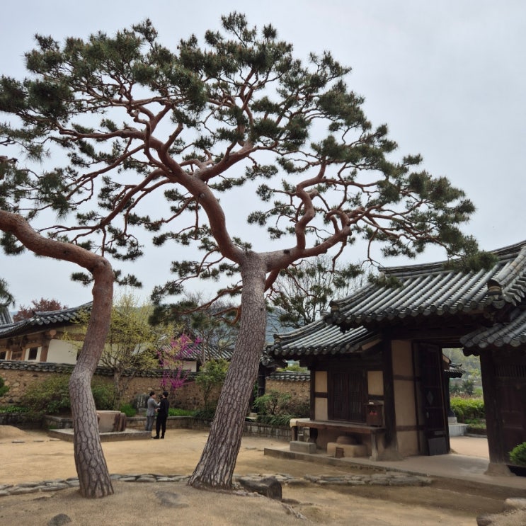  대구 가볼만 한 곳 : 남평문씨본리세거지