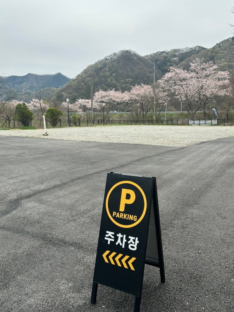 사진 2