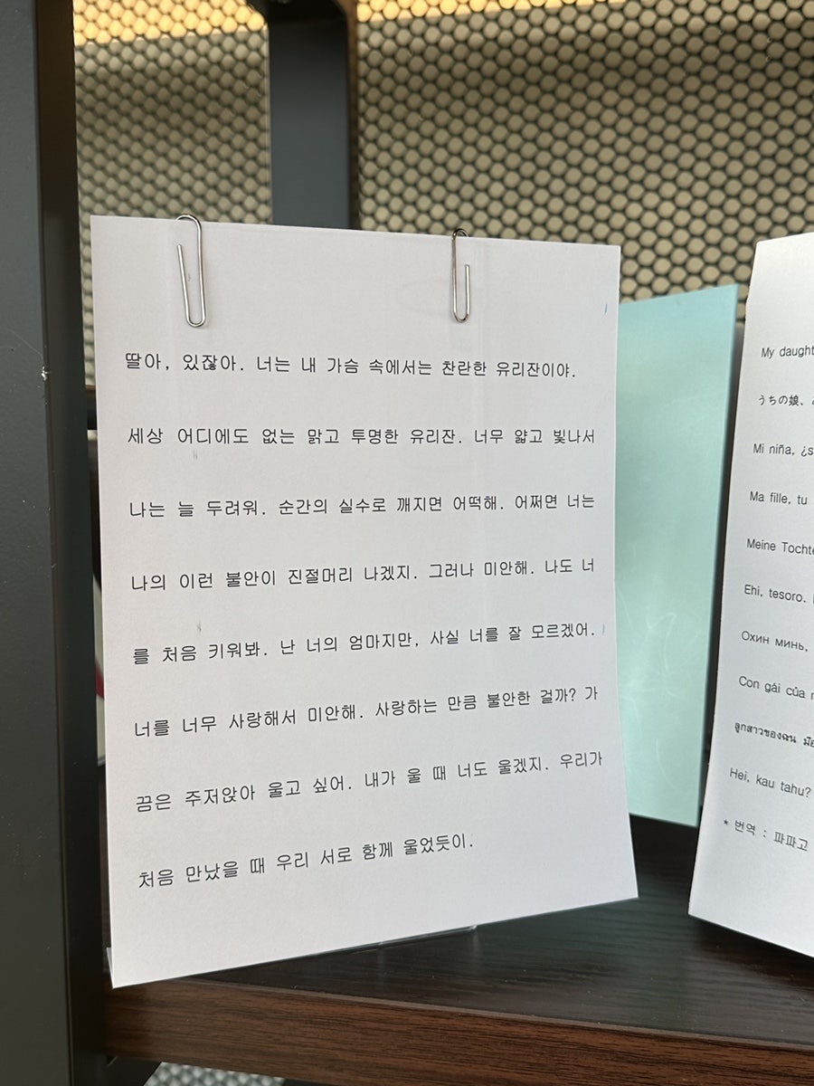 보카보카 사진 6