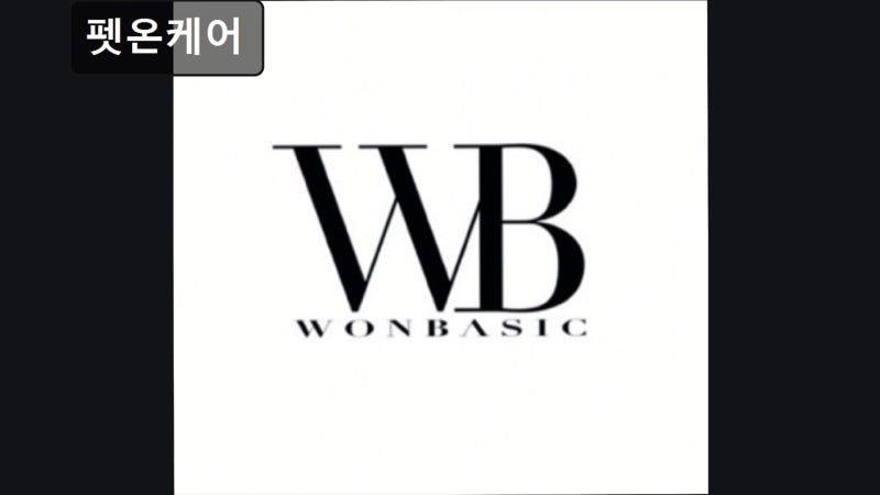 사진 2