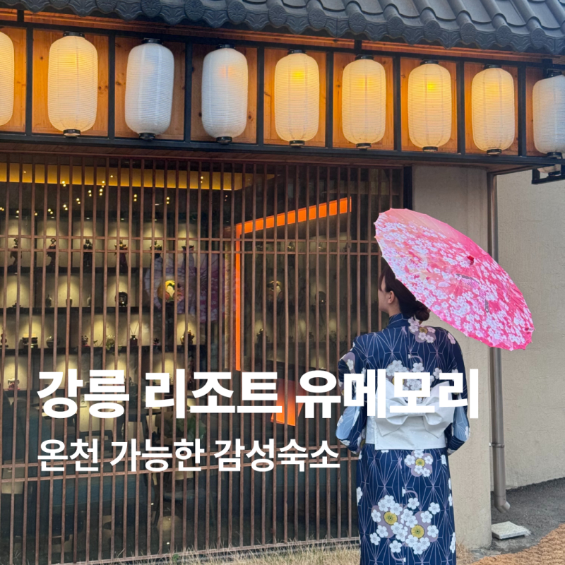 강릉 감성 숙소 온천 리조트 료칸 유메모리