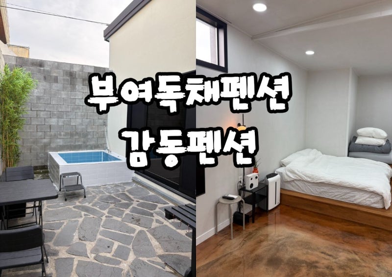 부여애견
