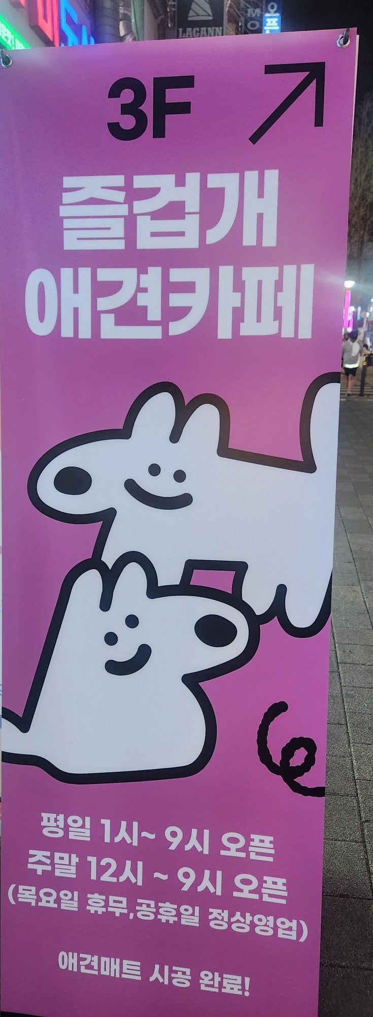 사진 3