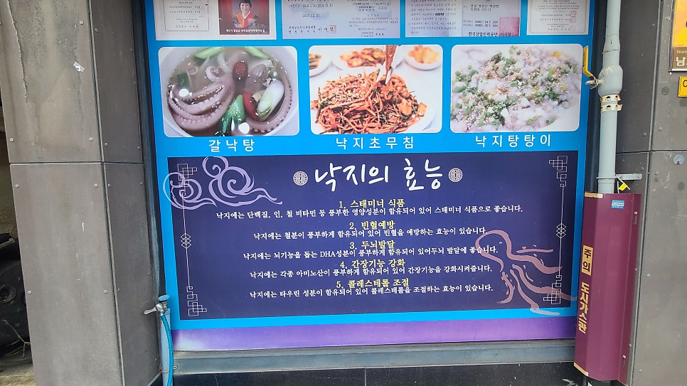 낙지일번지 사진 2