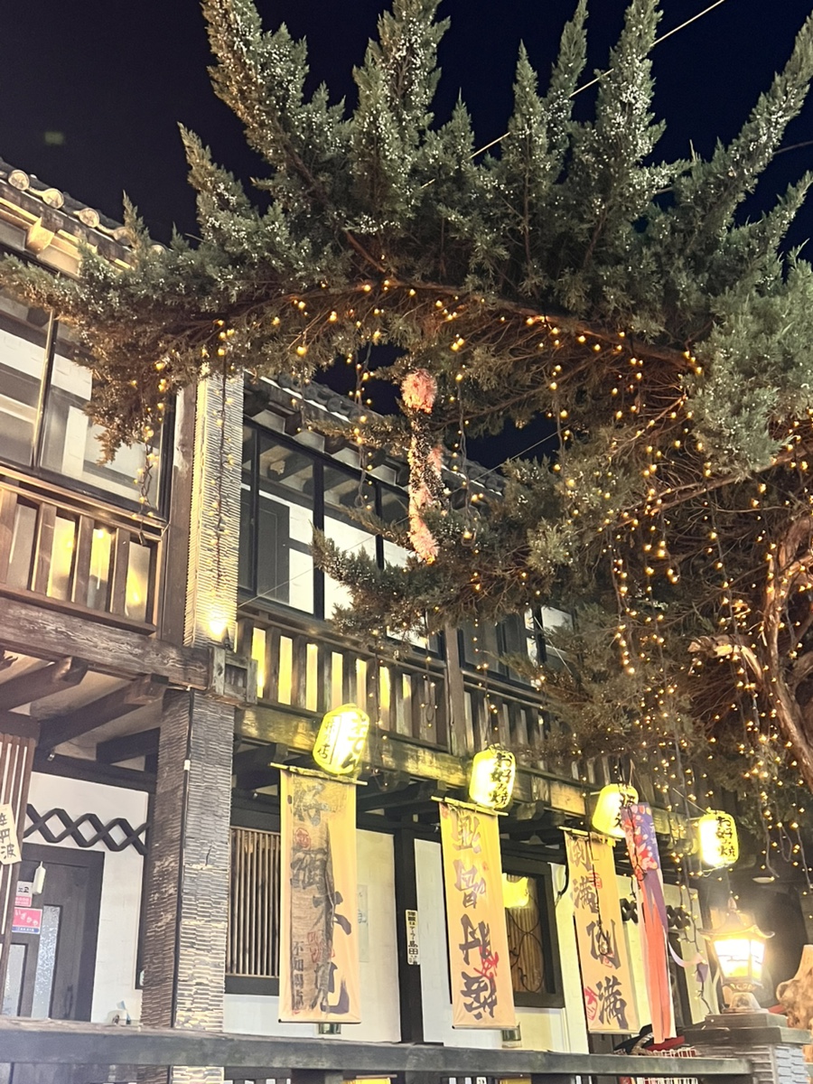 노코노코 사진 3
