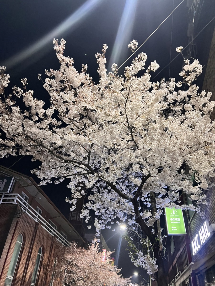 노코노코 사진 1