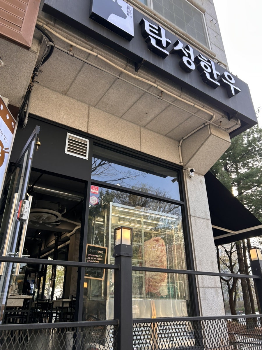 탄성한우 사진 2