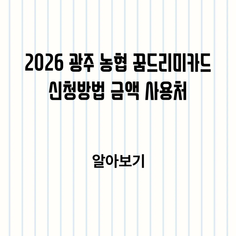 2026 광주 농협 꿈드리미카드 신청방법 금액 사용처 한눈에 알아보기
