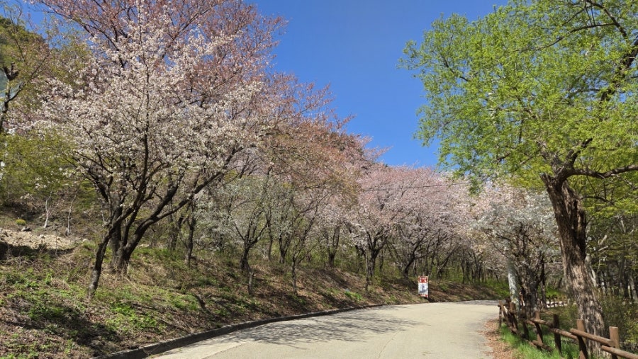 비천골 사진 5