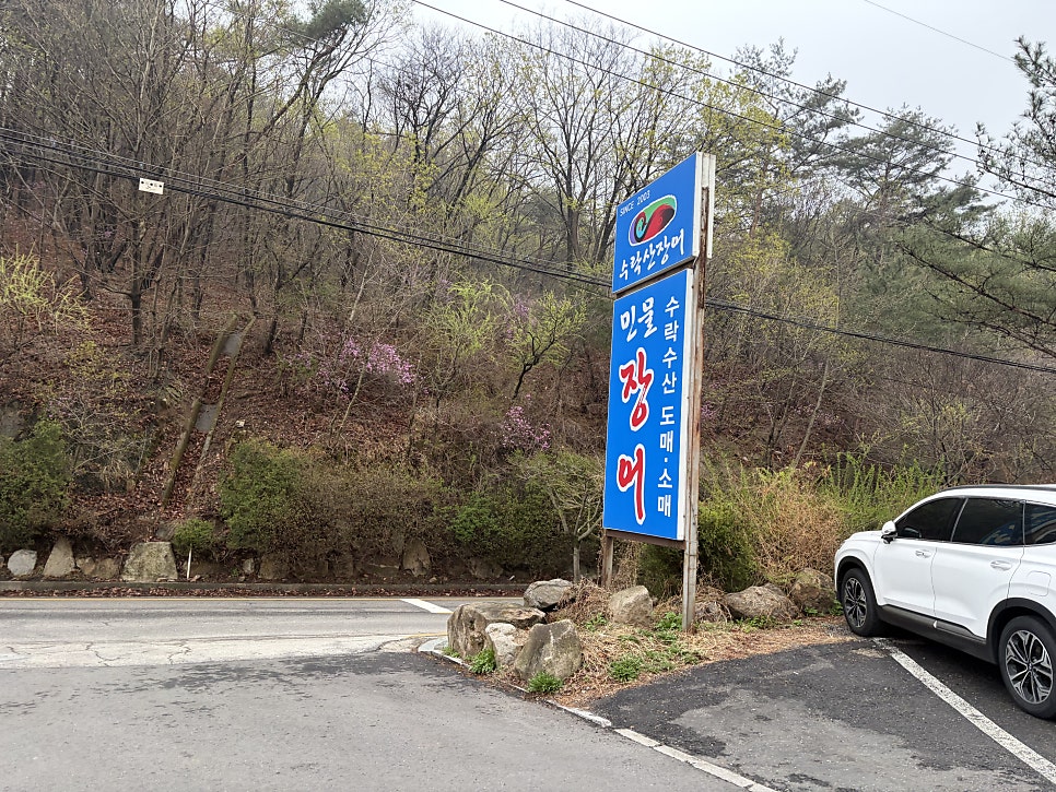 수락산장어 사진 2