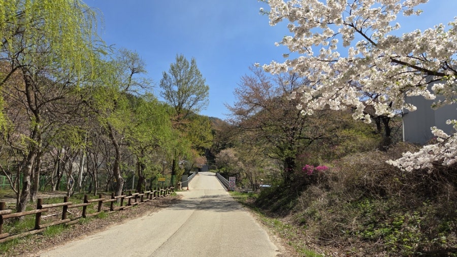 비천골 사진 4
