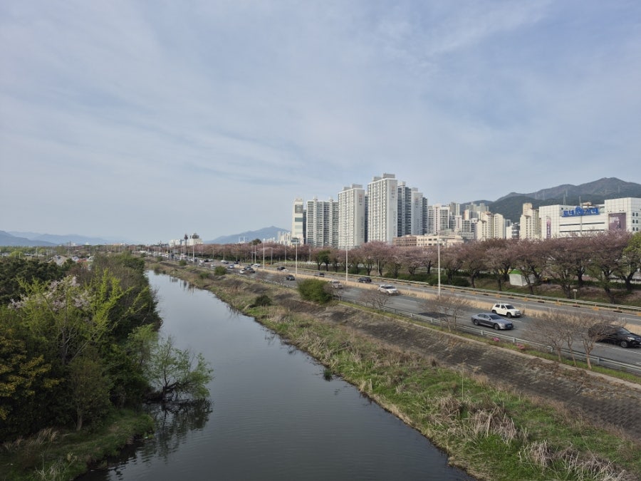 구땡식당 사상점 사진 5