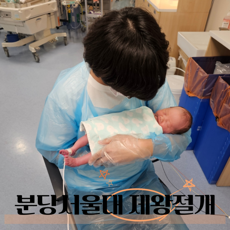  분당서울대병원 이른둥이 제왕절개 니큐 후기
