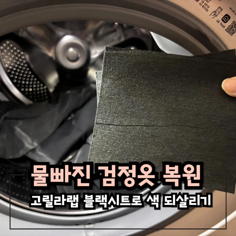물빠진 검정옷 복원, 고릴라랩 블랙시트로 색 되살리기