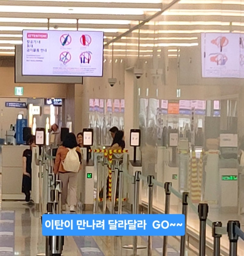 달라스 공항 입국심사 후기｜ESTA·MPC 앱으로 빠르게 통과한 실제 경험