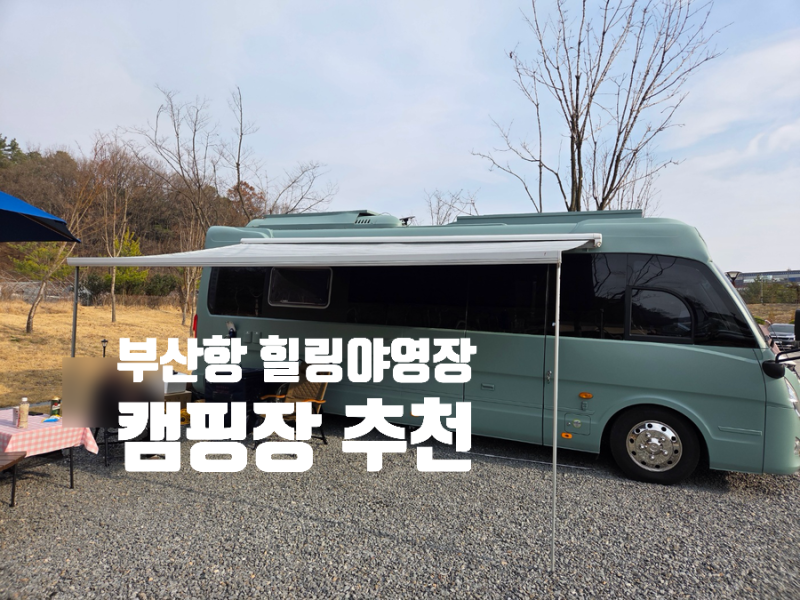 오션뷰 캠핑장 추천 | 부산항 힐링야영장 | 애완견 동반 좌석