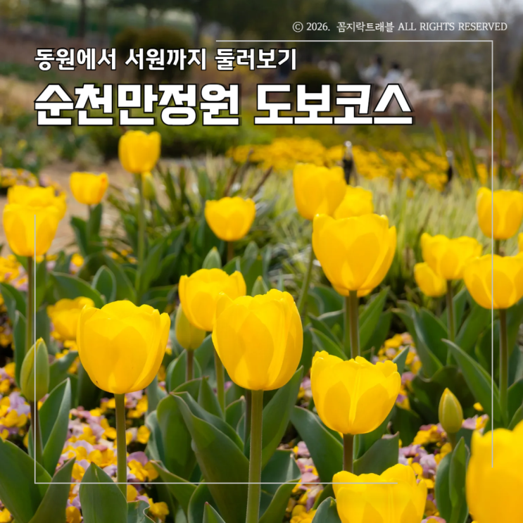  순천만국가정원 코스 추천(동문 시작 2시간 소요, 지도·관람차 정보까지)