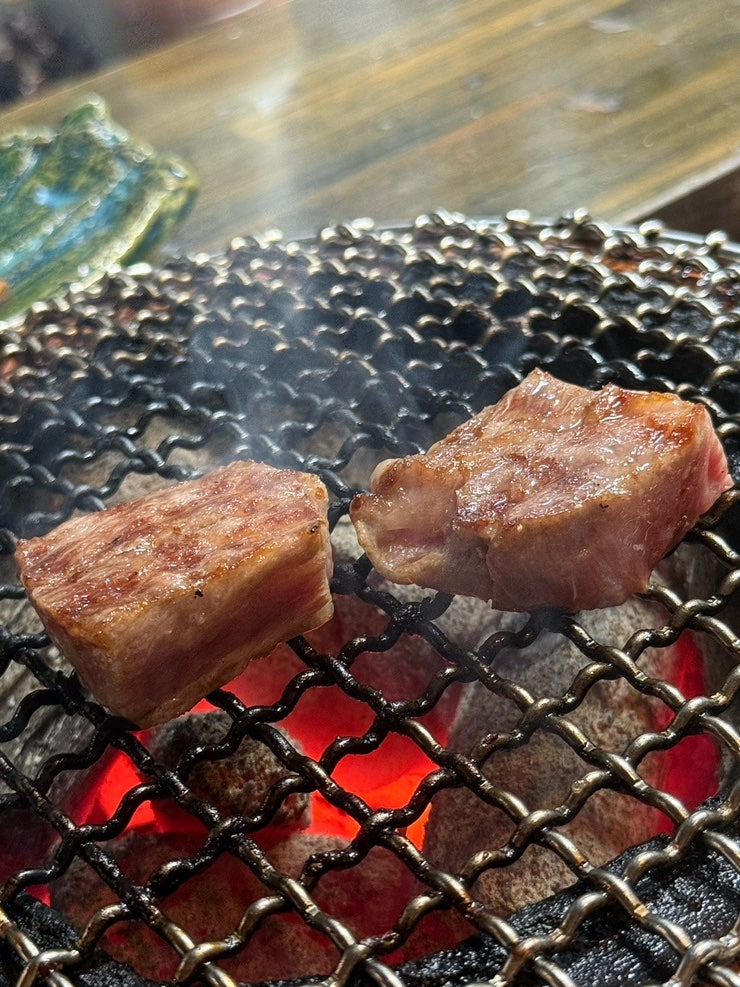 교토 가성비 야끼니꾸 맛집 카네코 Kaneko 오마카세 후기