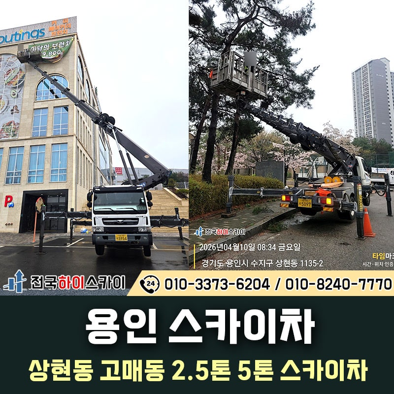사진 6