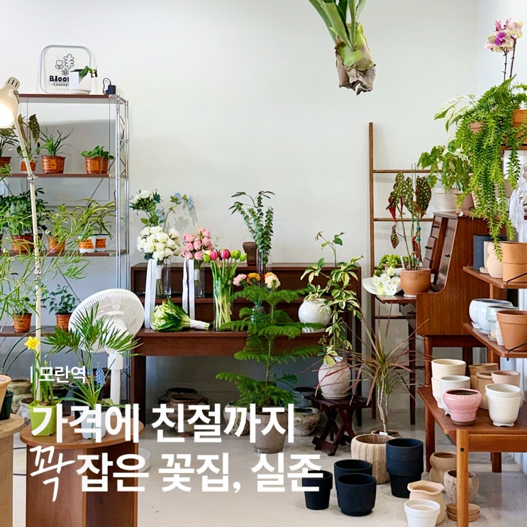  성남 모란역 꽃집 블룸디 - 가성비 좋고 추천도 잘해주는 곳