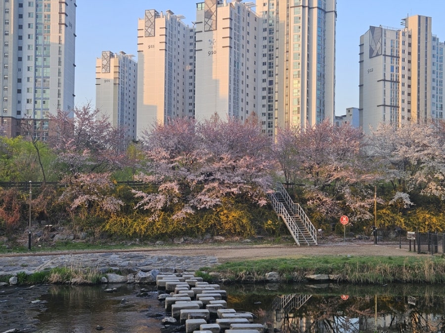 Dokyopangya Pangyodoseogwanjeom photo 1