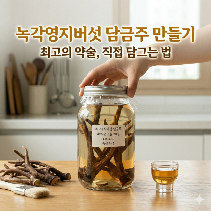 [가정에서 만드는 건강술] '녹각영지버섯 담금주' 완전 정복: 효능부터 비율, 손질법까지